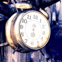 Відгук від Александр про онлайн-ресторан «NaDivanE»